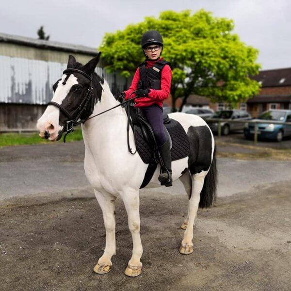 Do Horses Have a Sense of Humour? Genius Equestrian
