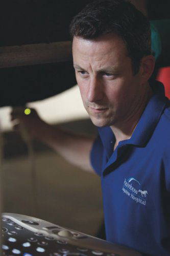 Vet receives award for novel equine PPID treatment | Genius Equestrian