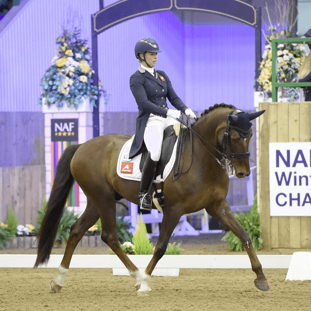 Haygain sponsored rider Hannah Biggs on her competitive aims for 2019, her personal training plans and the most exciting horses in her stable.