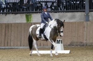 Jo Alderton-Whitworth riding a Dressage Test