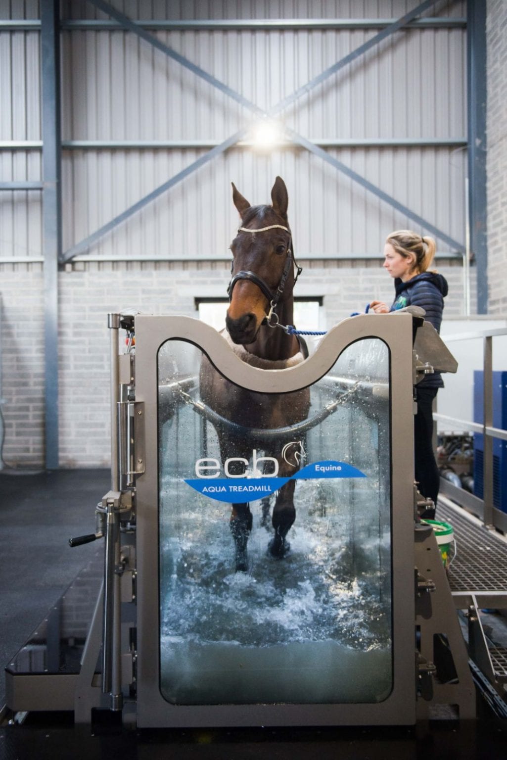 British Equestrian supports new advice over use of water treadmills Genius Equestrian