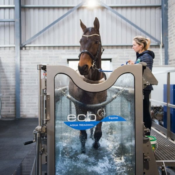 Equine Water treadmill